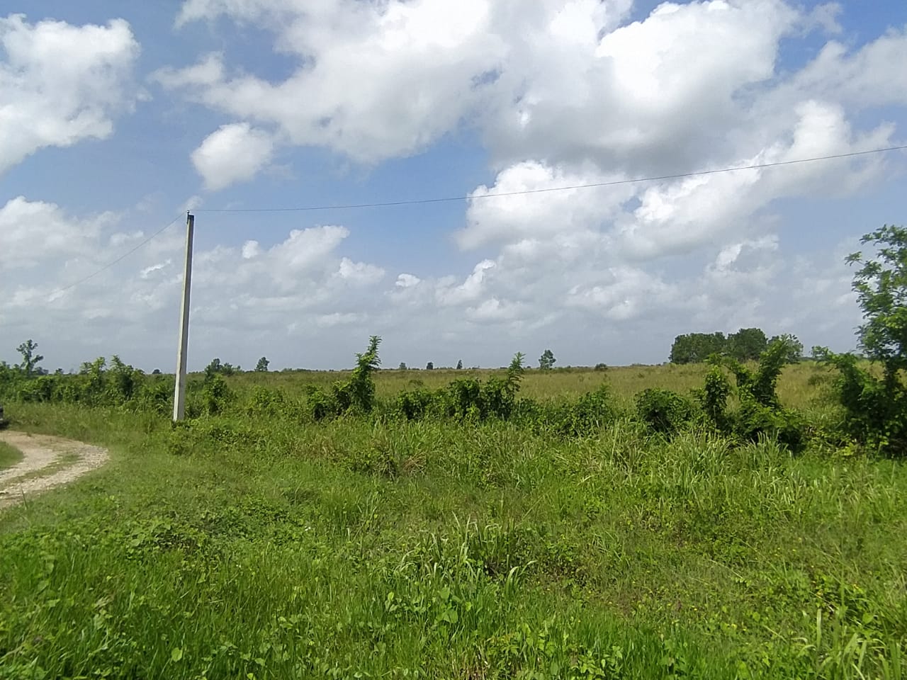 Terreno de 956040.90 Mts2 o fincas de 1521 tareas con vocación agrícol Foto 7310924-2.jpg