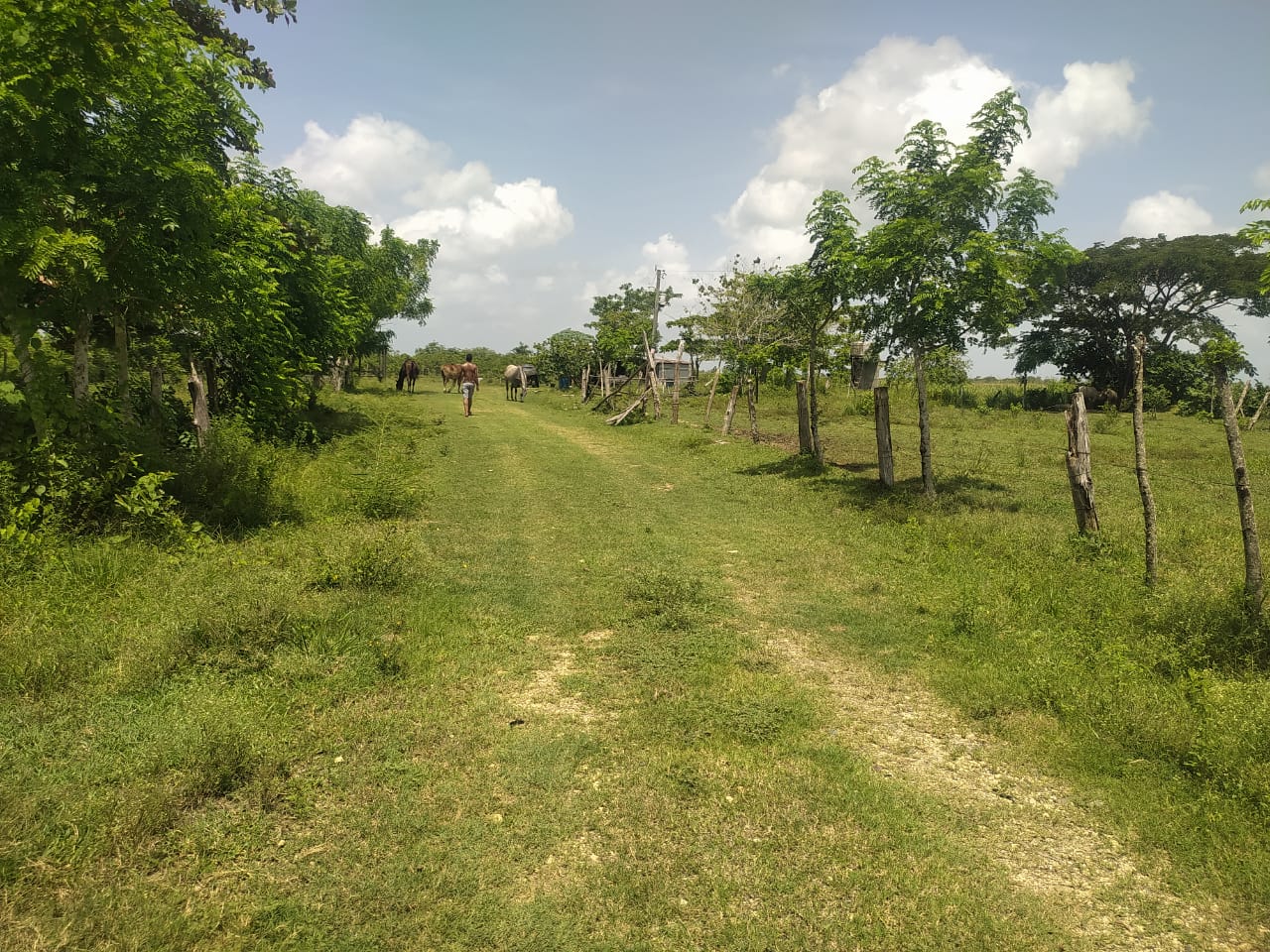 Terreno de 956040.90 Mts2 o fincas de 1521 tareas con vocación agrícol Foto 7310924-3.jpg