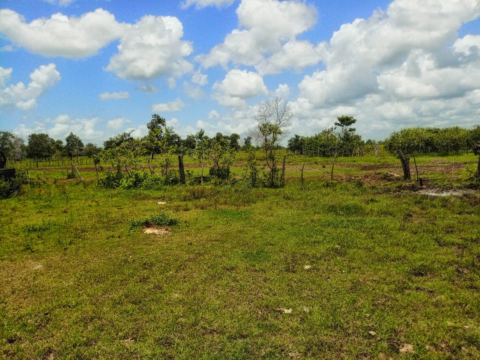 Terreno de 956040.90 Mts2 o fincas de 1521 tareas con vocación agrícol Foto 7310924-5.jpg