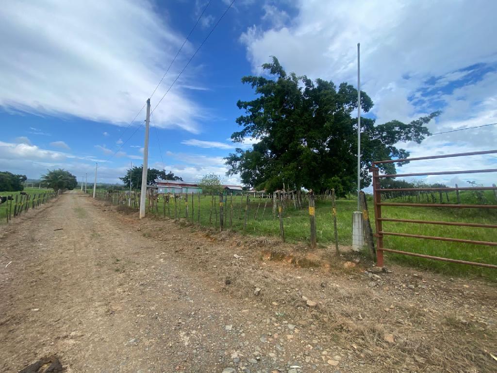Vendo excelente finca de 3600 tareas totalmente llanas y ganaderas en  Foto 7310927-1.jpg
