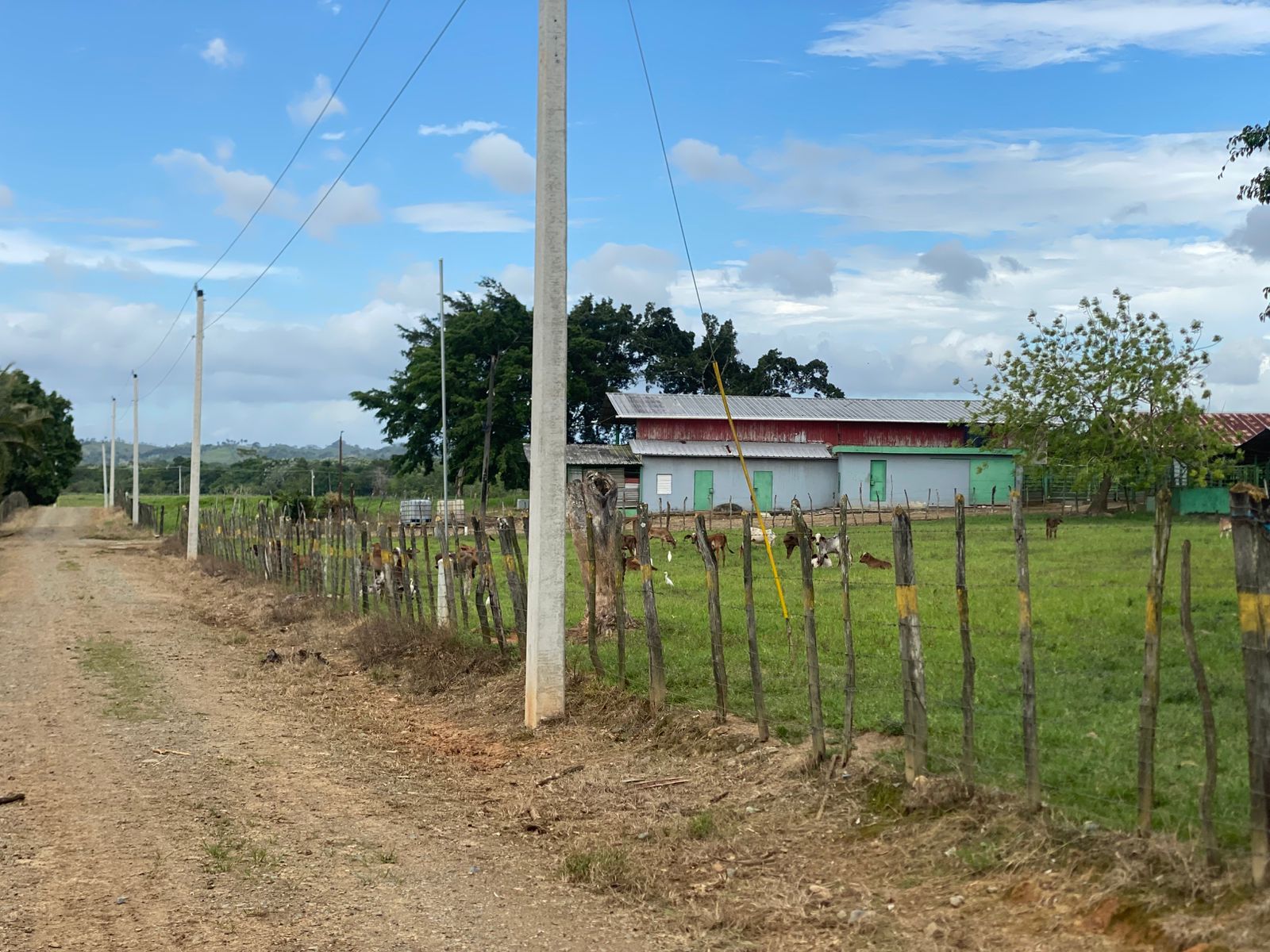 Vendo excelente finca de 3600 tareas totalmente llanas y ganaderas en  Foto 7310927-4.jpg