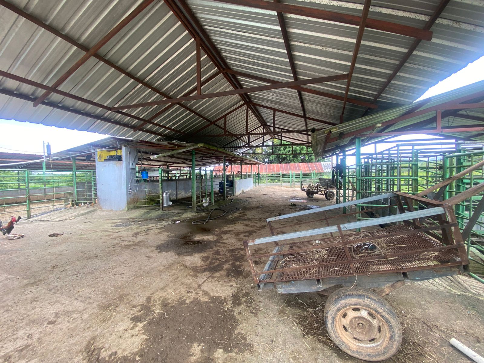 Vendo excelente finca de 3600 tareas totalmente llanas y ganaderas en  Foto 7310927-5.jpg