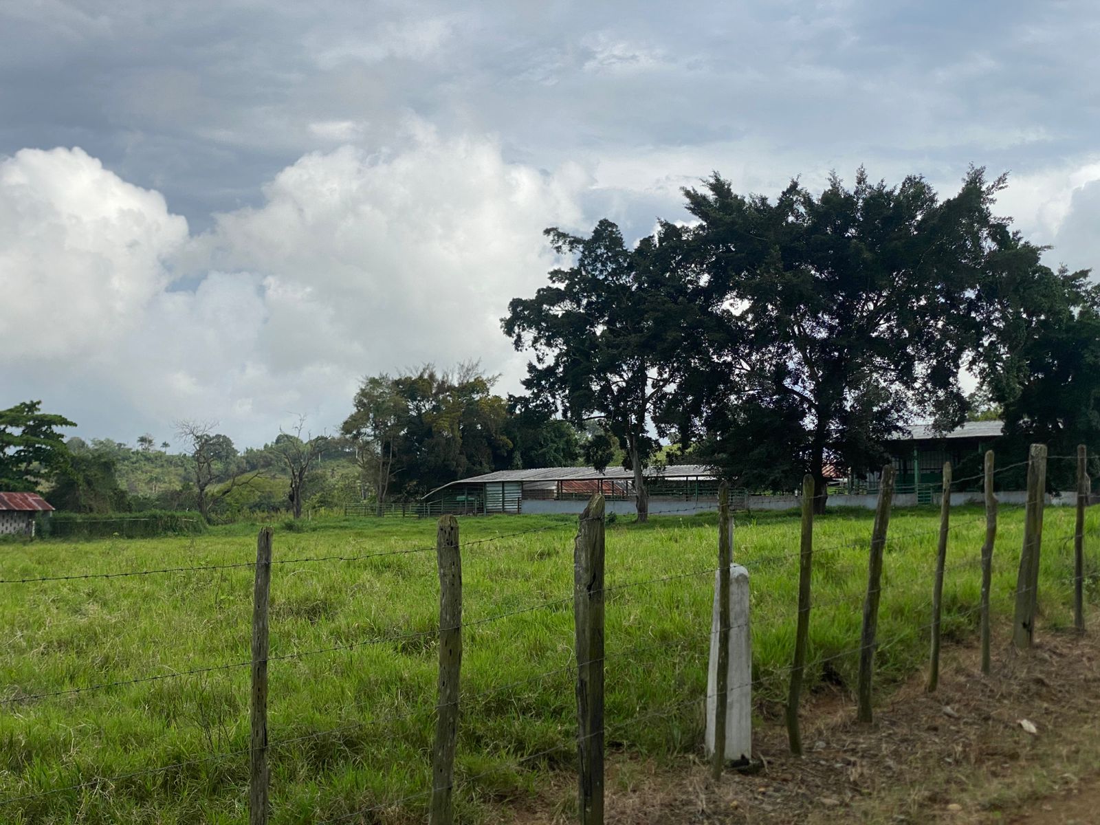 Vendo excelente finca de 3600 tareas totalmente llanas y ganaderas en  Foto 7310927-6.jpg