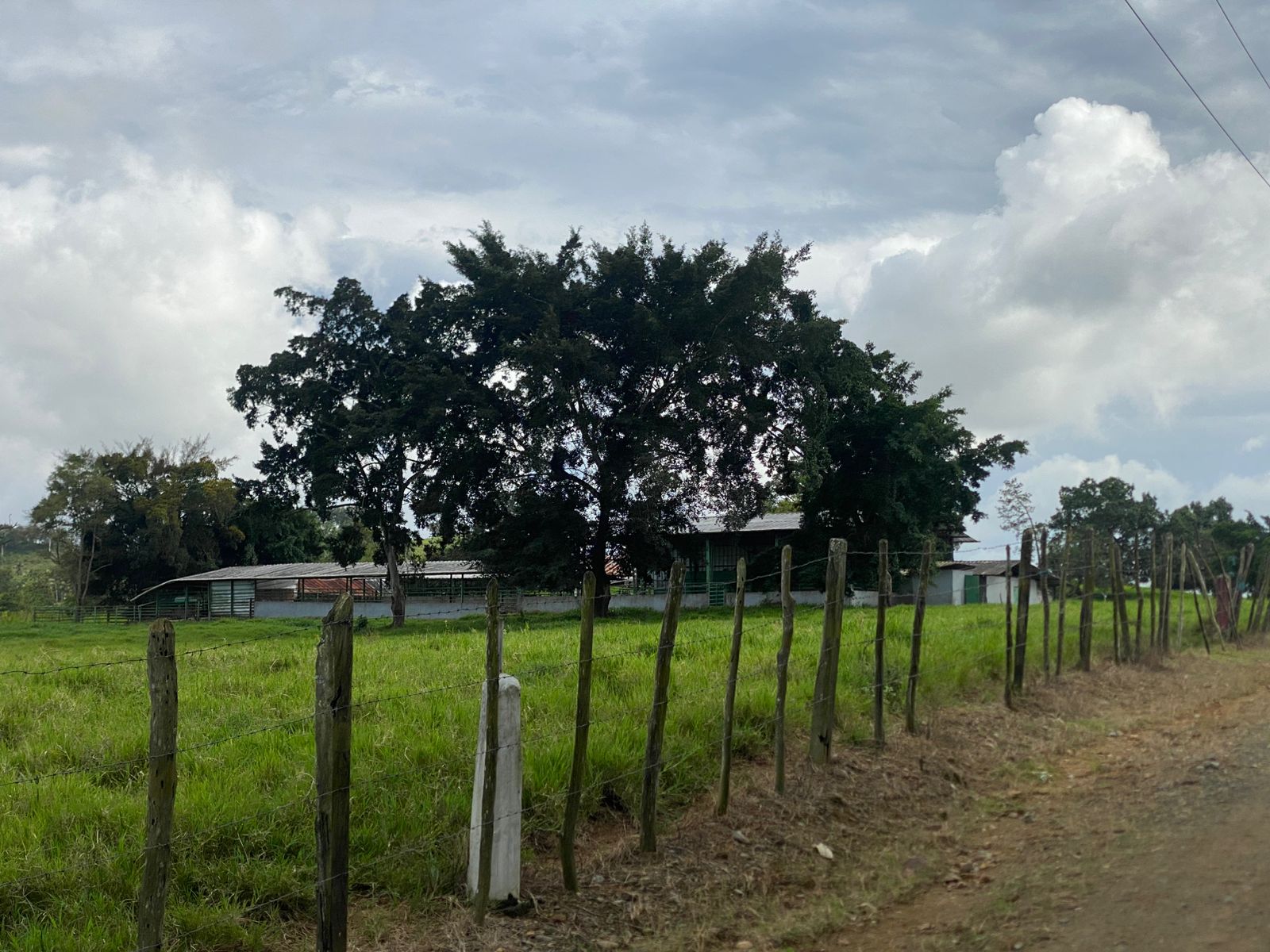 Vendo excelente finca de 3600 tareas totalmente llanas y ganaderas en  Foto 7310927-7.jpg