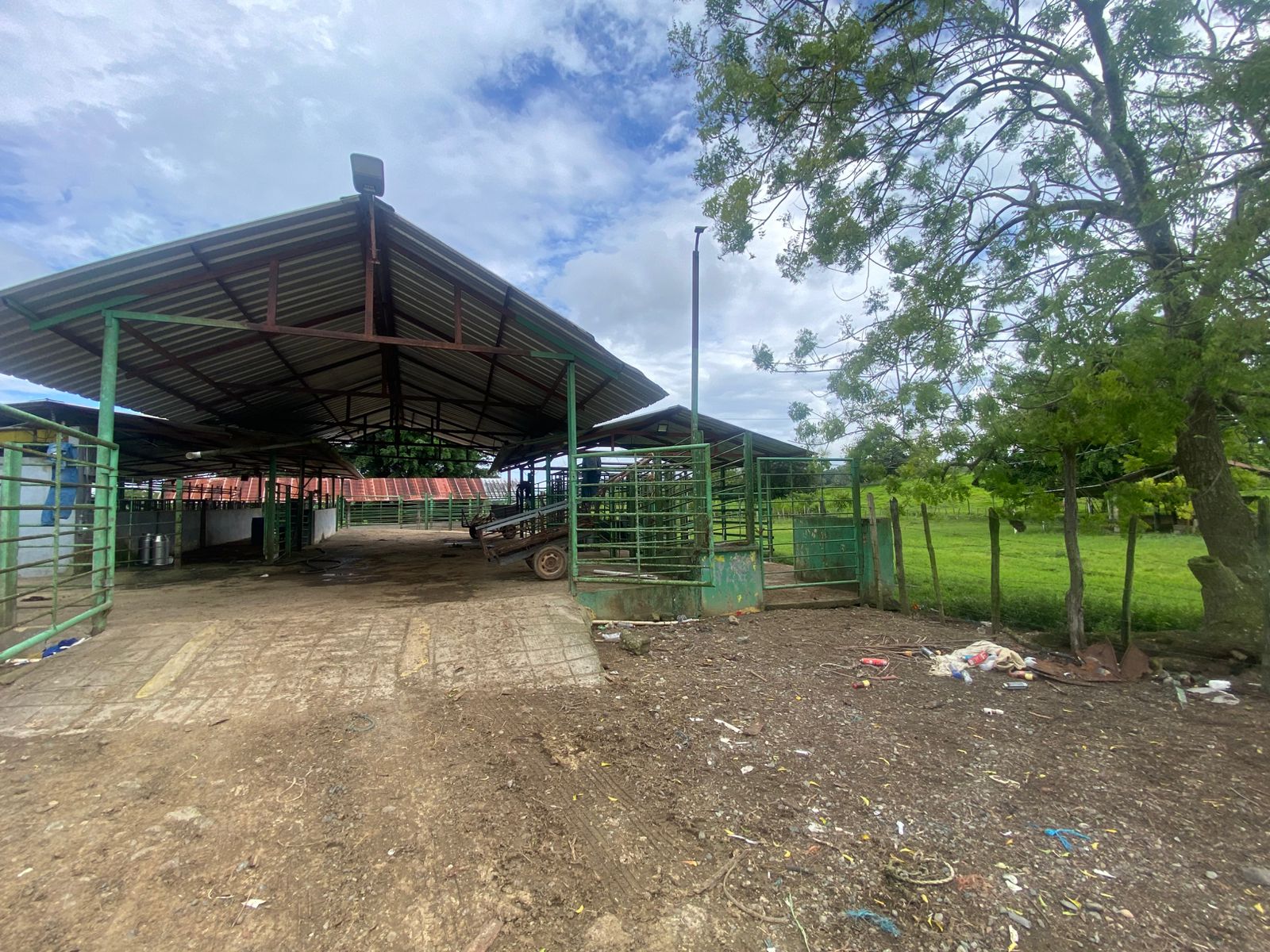 Vendo excelente finca de 3600 tareas totalmente llanas y ganaderas en  Foto 7310927-8.jpg