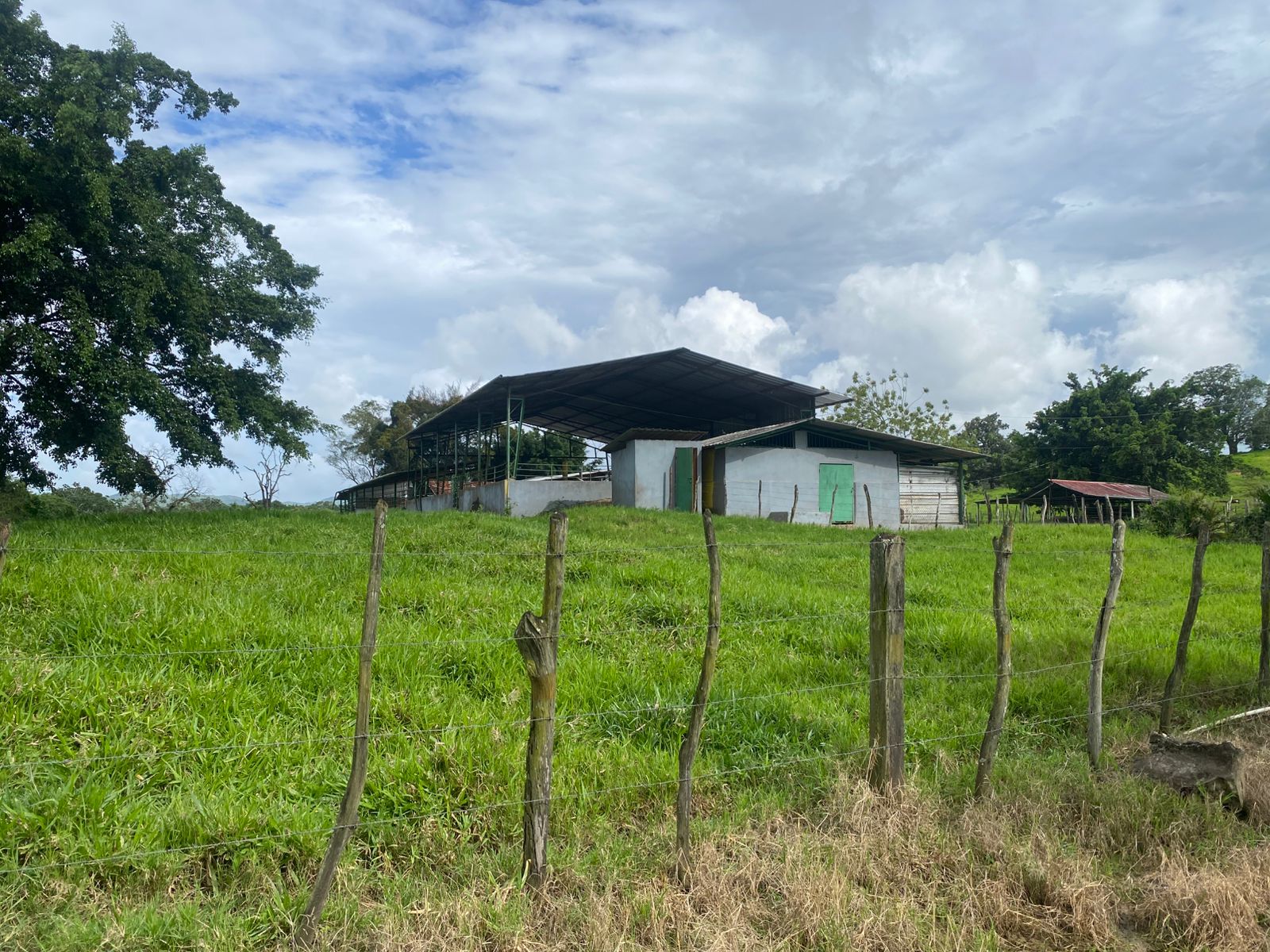 Vendo excelente finca de 3600 tareas totalmente llanas y ganaderas en  Foto 7310927-9.jpg