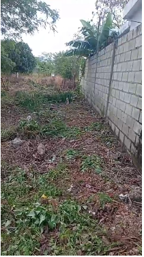 SOLAR EN VENTA EN SAN ISIDRO SANTO DOMINGO ESTE Foto 7311119-2.jpg