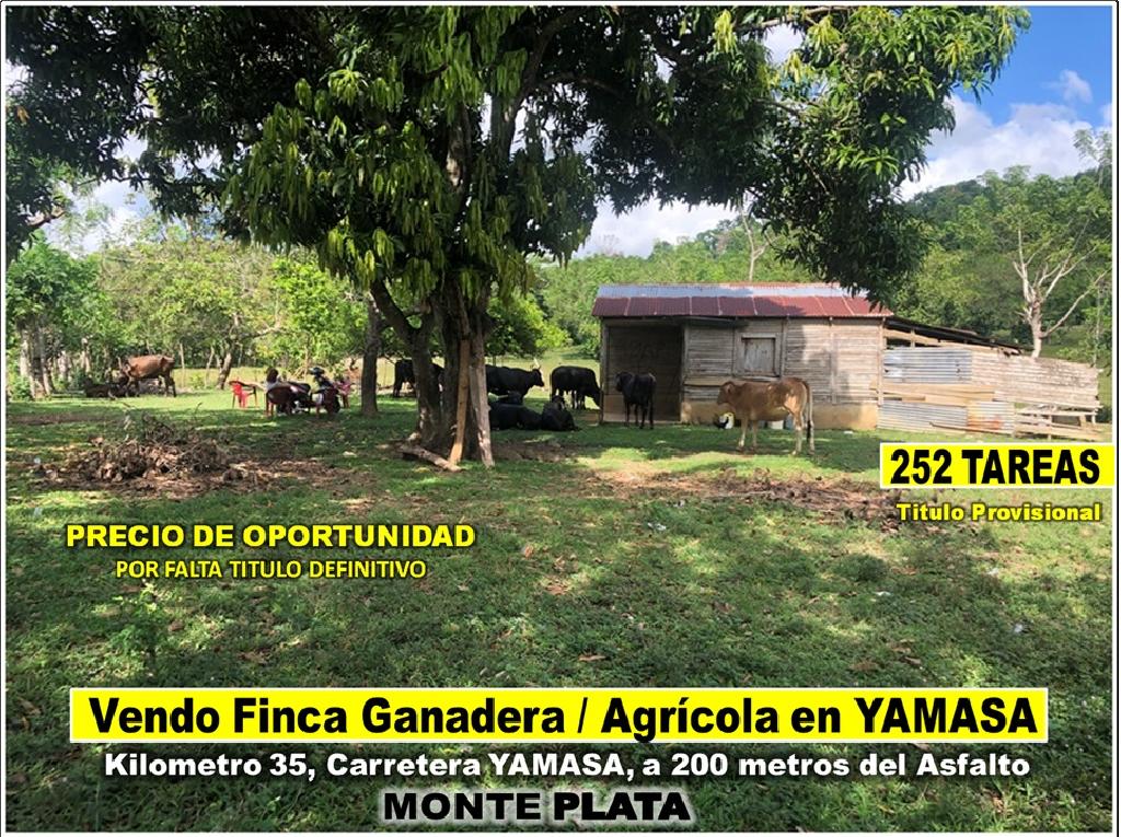 SE VENDE FINCA 252 TAREAS EN EL KM.  35 DE YAMASA SUPER REBAJADA SOLO  Foto 7311751-1.jpg