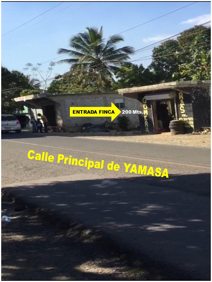 SE VENDE FINCA 252 TAREAS EN EL KM.  35 DE YAMASA SUPER REBAJADA SOLO  Foto 7311751-2.jpg
