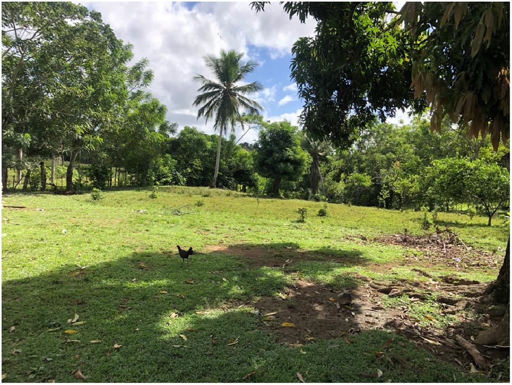 SE VENDE FINCA 252 TAREAS EN EL KM.  35 DE YAMASA SUPER REBAJADA SOLO  Foto 7311751-3.jpg