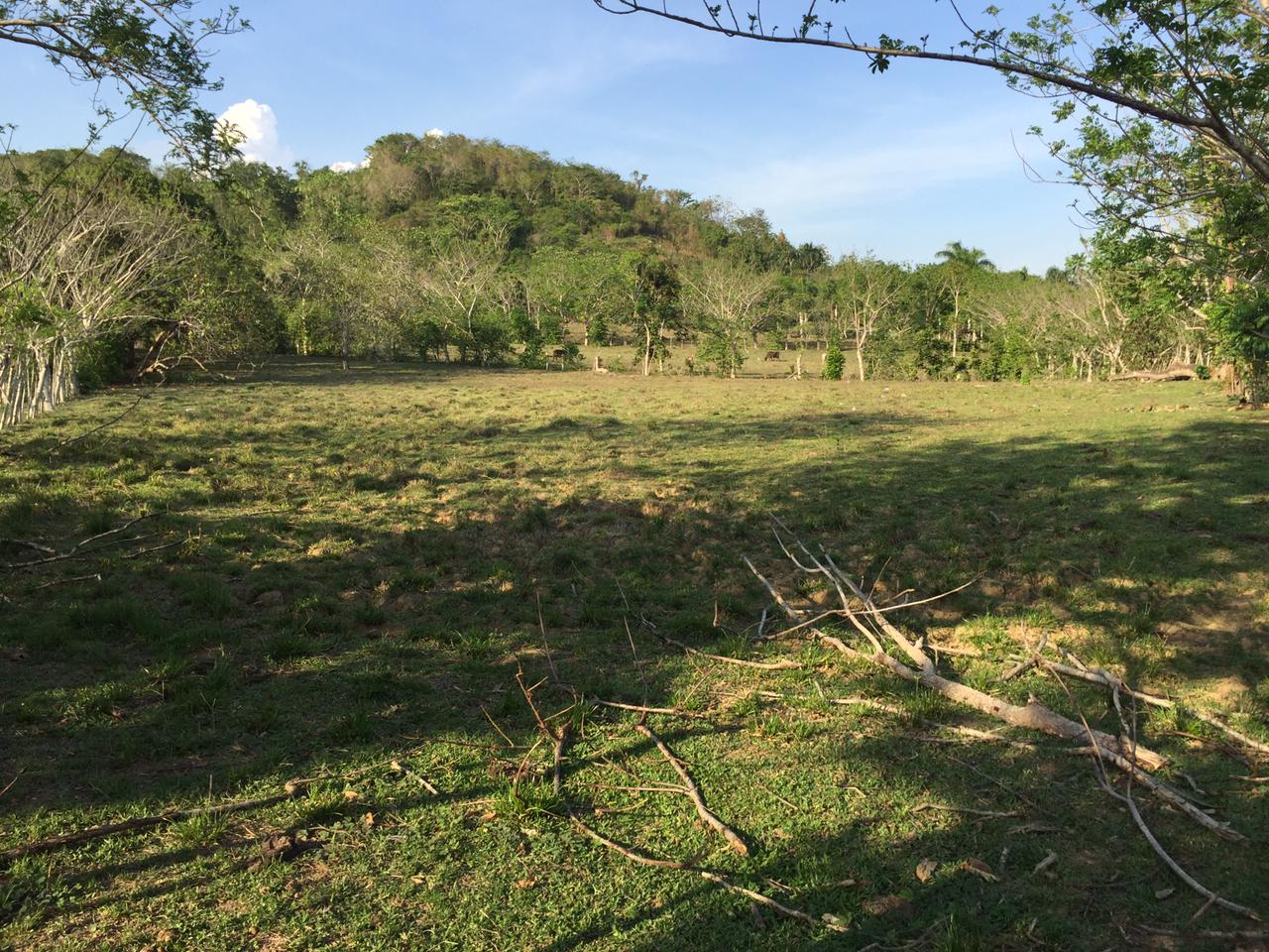 SE VENDE FINCA 252 TAREAS EN EL KM.  35 DE YAMASA SUPER REBAJADA SOLO  Foto 7311751-6.jpg