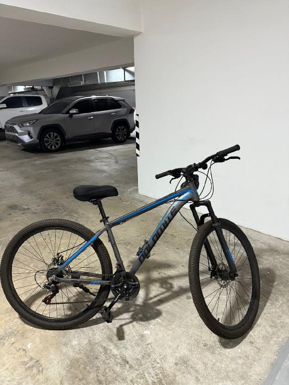 Bicicletas Dolomite ROKA 29 en Santo Domingo DN Foto 7311963-2.jpg