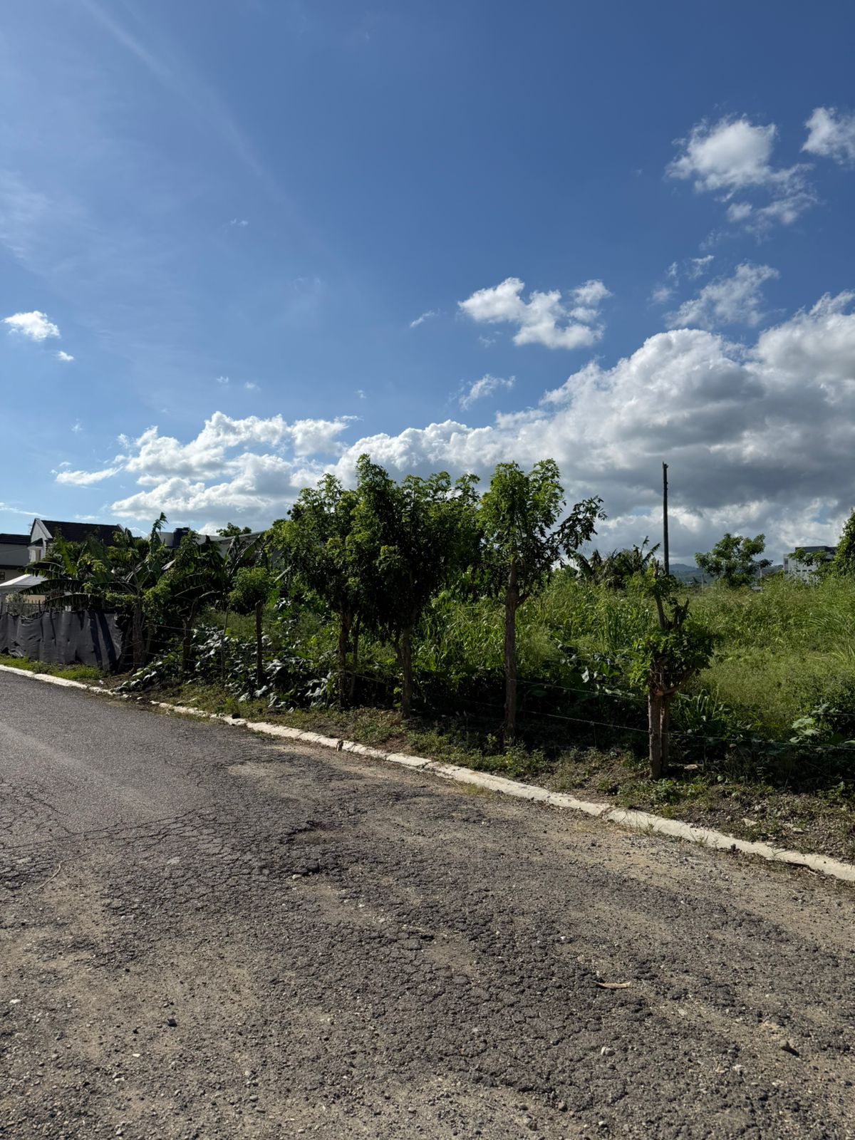 ???? VENTA DE SOLARES EN LLANOS DE GURABO SANTIAGO ???? Foto 7312743-5.jpg