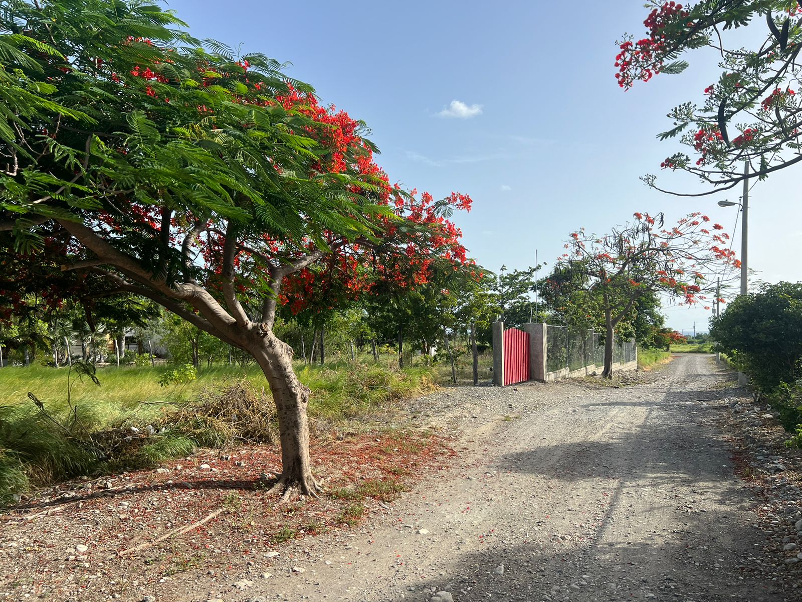 Venta de dos solares en el proyecto finquitas de ocoa 45 USD EL MT2 Foto 7312866-10.jpg
