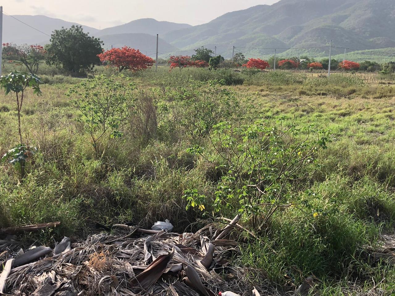 Venta de dos solares en el proyecto finquitas de ocoa 45 USD EL MT2 Foto 7312866-2.jpg