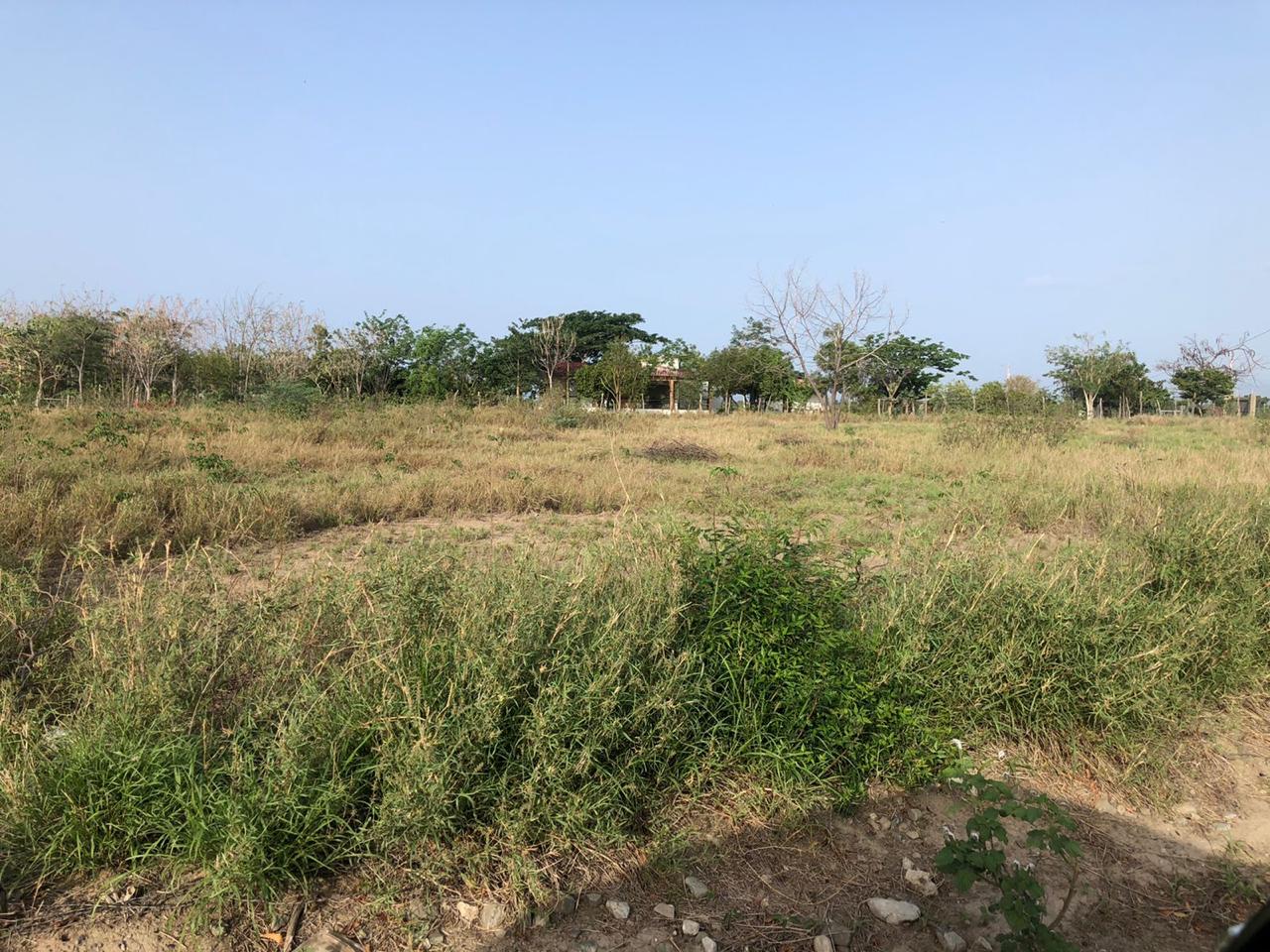 Venta de dos solares en el proyecto finquitas de ocoa 45 USD EL MT2 Foto 7312866-3.jpg