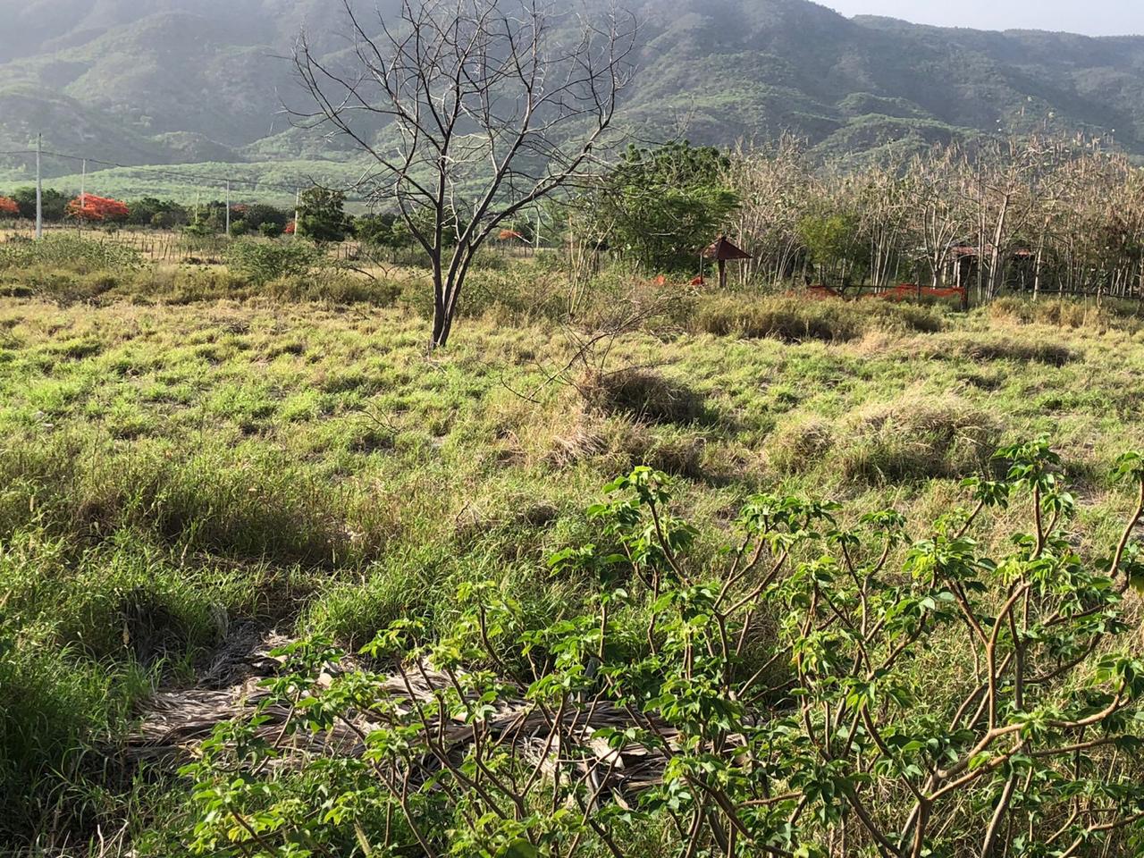 Venta de dos solares en el proyecto finquitas de ocoa 45 USD EL MT2 Foto 7312866-6.jpg