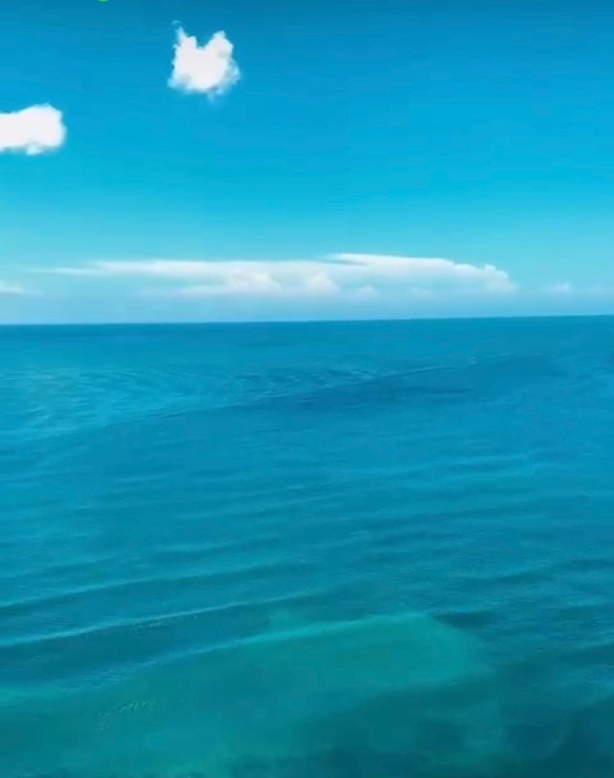 Viva Como Un Rey Deleitandose Con Su Vista Al Mar Desde El Piso 26!!! Foto 7312899-8.jpg