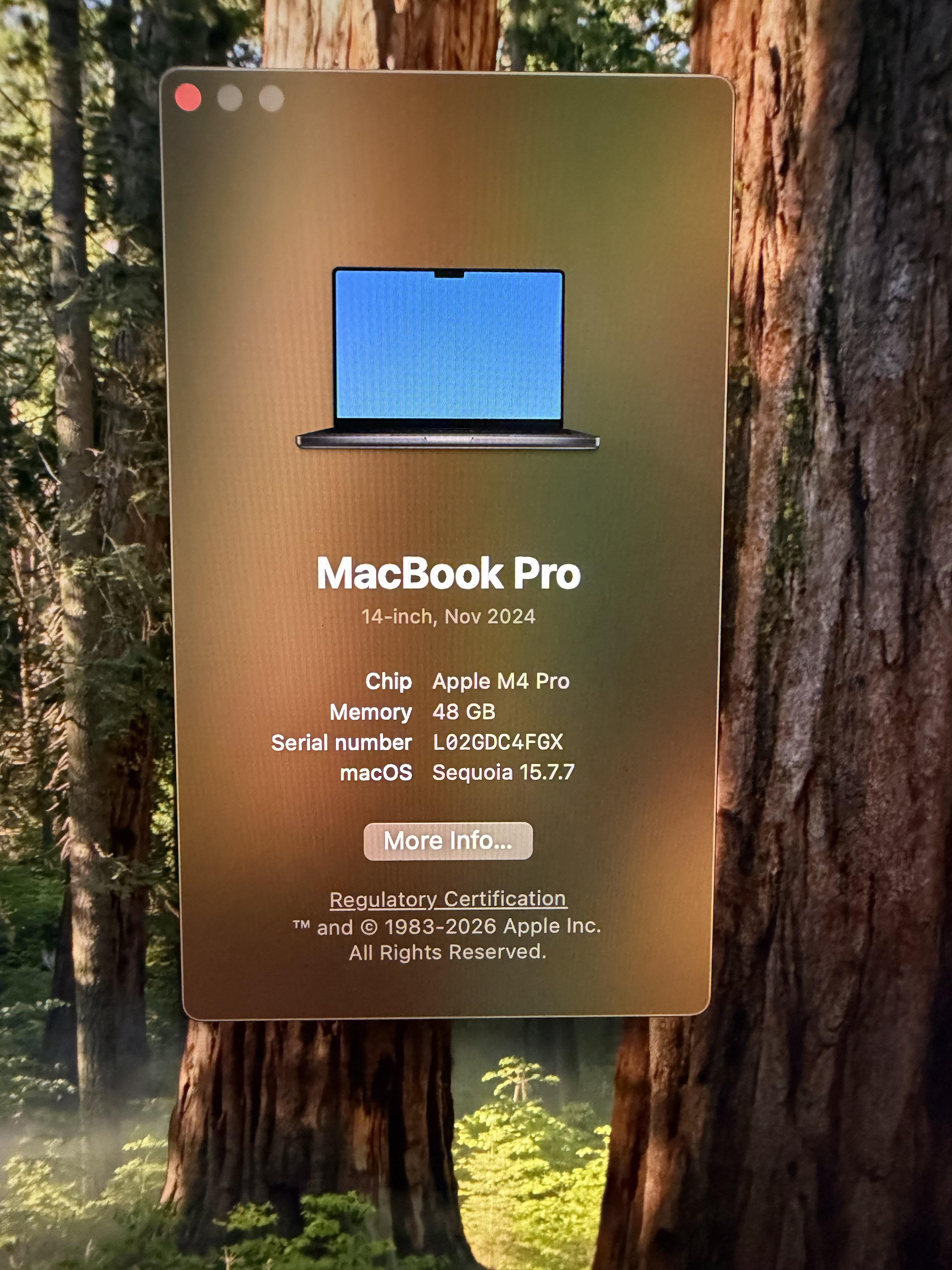 Macbook Pro 2024 M4 Pro 48GB de Memoria 2TB de Amlacenamiento Foto 7312900-2.jpg