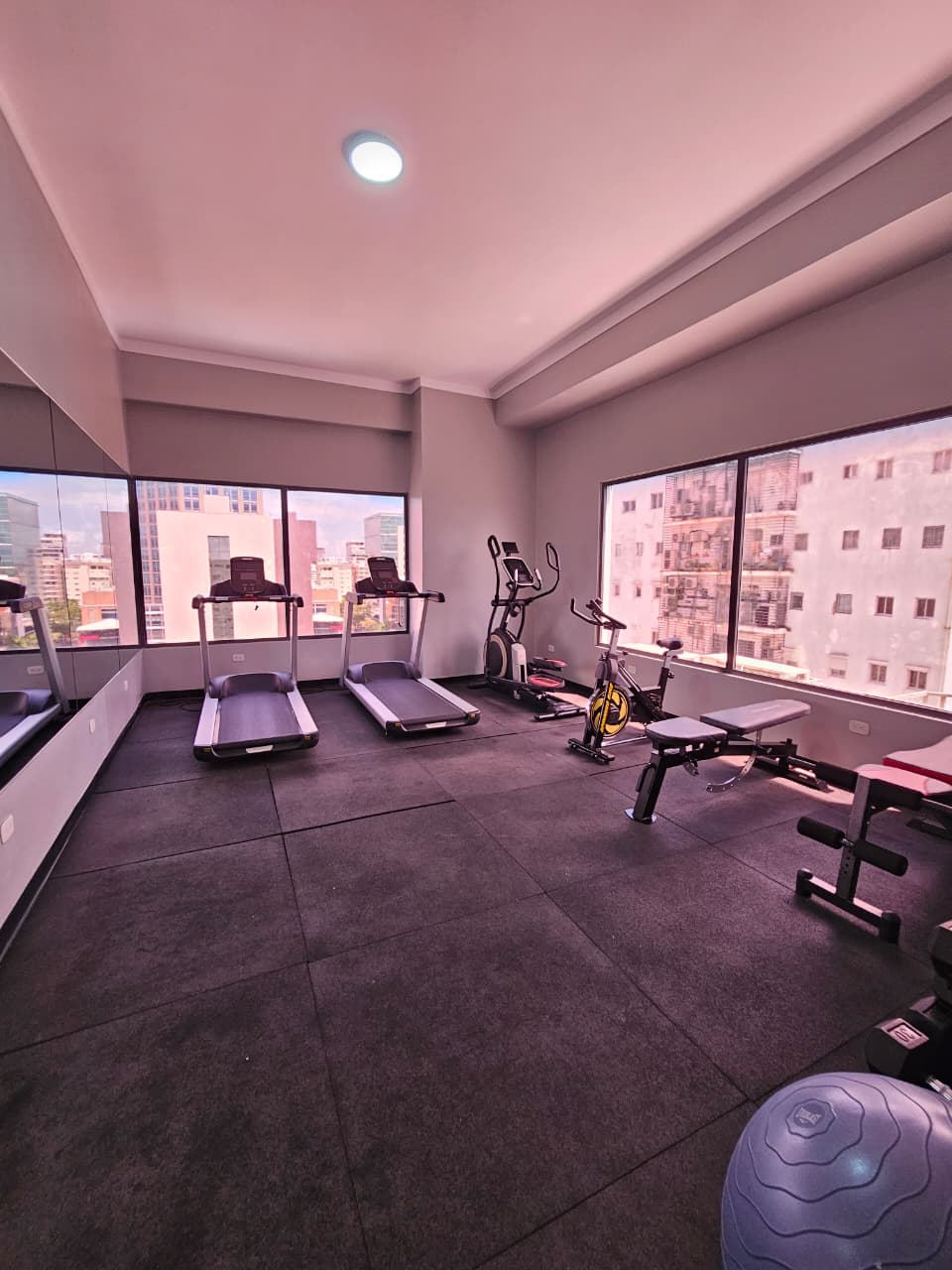 Apartamento Amueblado en Alquiler  Evaristo Morales Foto 7313192-12.jpg