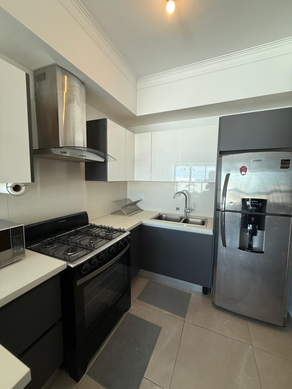 Alquiler en apartamento amueblado de 1 habitación en el Ensanche Naco  Foto 7313338-2.jpg