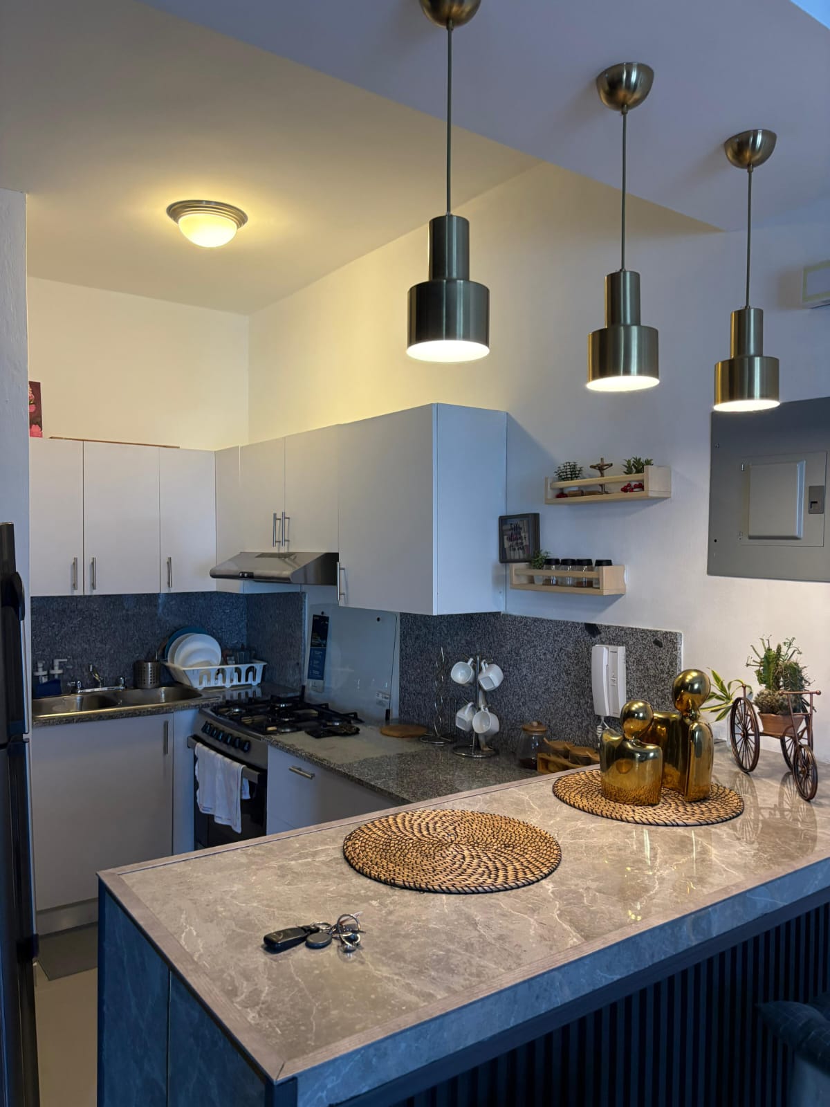 Apartamento Amueblado en Venta Evaristo Morales Ideal para Inversión y Foto 7313412-2.jpg