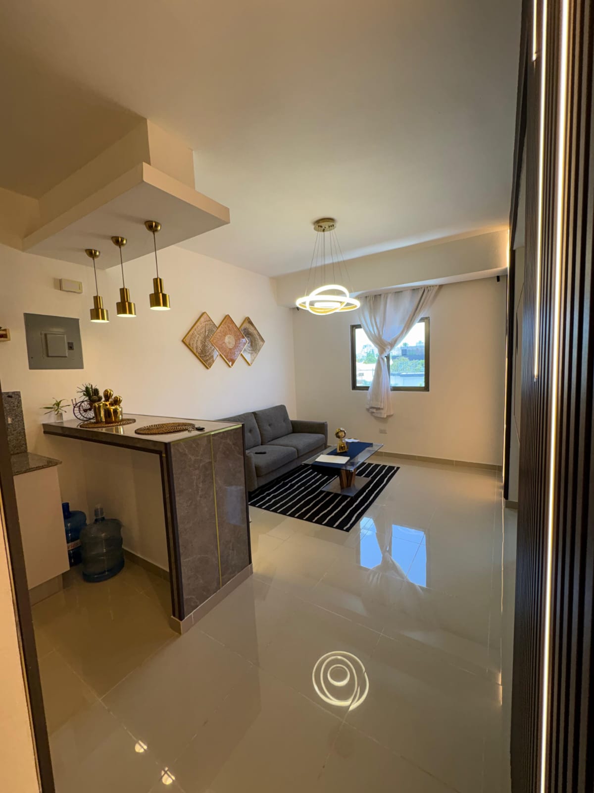 Apartamento Amueblado en Venta Evaristo Morales Ideal para Inversión y Foto 7313412-6.jpg