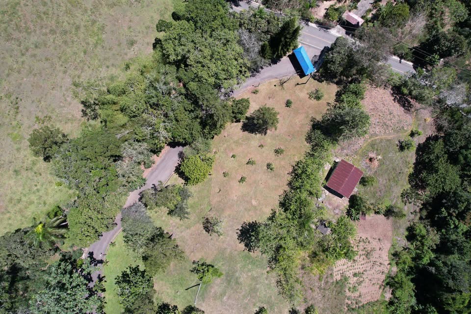 olar en Altos de la Floresta – Estancita Jarabacoa – 1331 m – Proyecto Foto 7313942-7.jpg