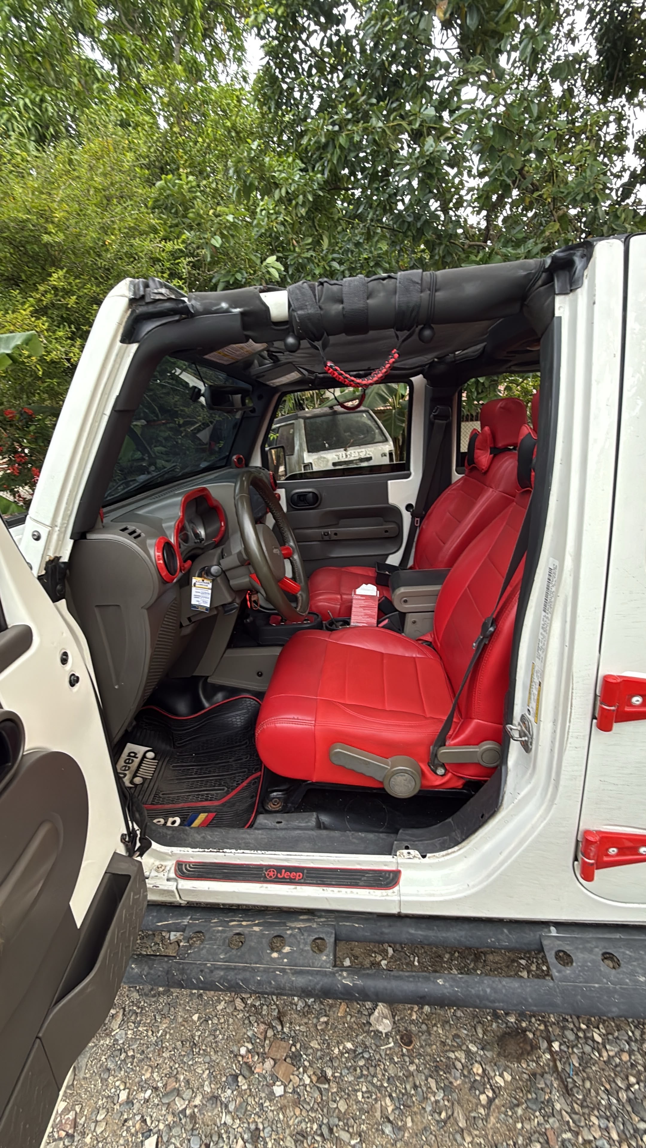 Jeep Wrangler Rubicon 2009 en Peravia Foto 7314138-5.jpg