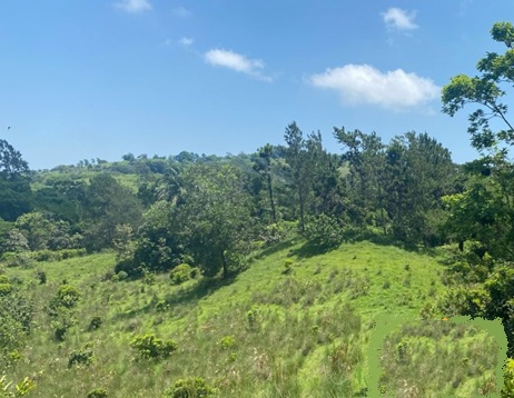 Vendo 100000 Mts.2 de Terreno en BUENA VISTA JARABACOA Foto 7314453-4.jpg