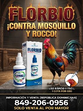 GOTERO CONTRA ROCCO Y MOQUILLO EN LOS GALLOS DE PELEA  Foto 7315678-3.jpg