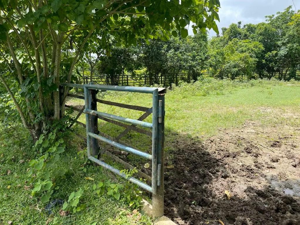 Vendo Finca de 1650 tareas en Santo Domingo Norte a la Orilla del ASFA Foto 7316181-5.jpg
