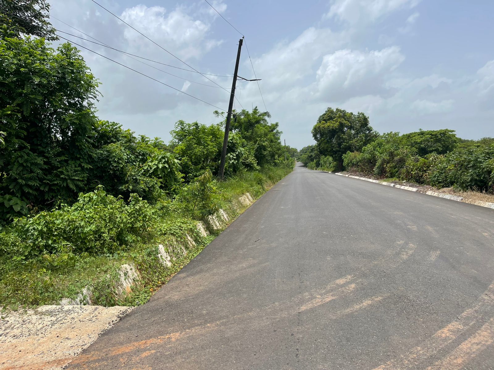 Vendo Finca de 1650 tareas en Santo Domingo Norte a la Orilla del ASFA Foto 7316181-7.jpg