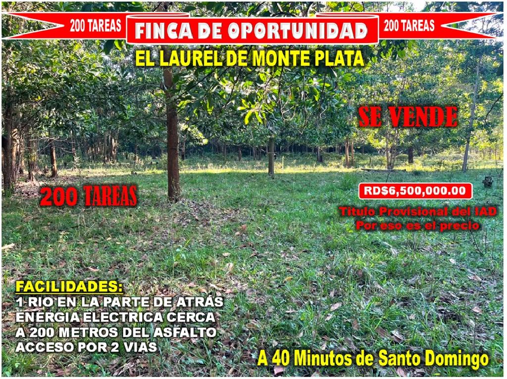 Vendo Finca GANADERA – AGRICOLA de 200 tareas en el LAUREL Monte Plata Foto 7316515-1.jpg