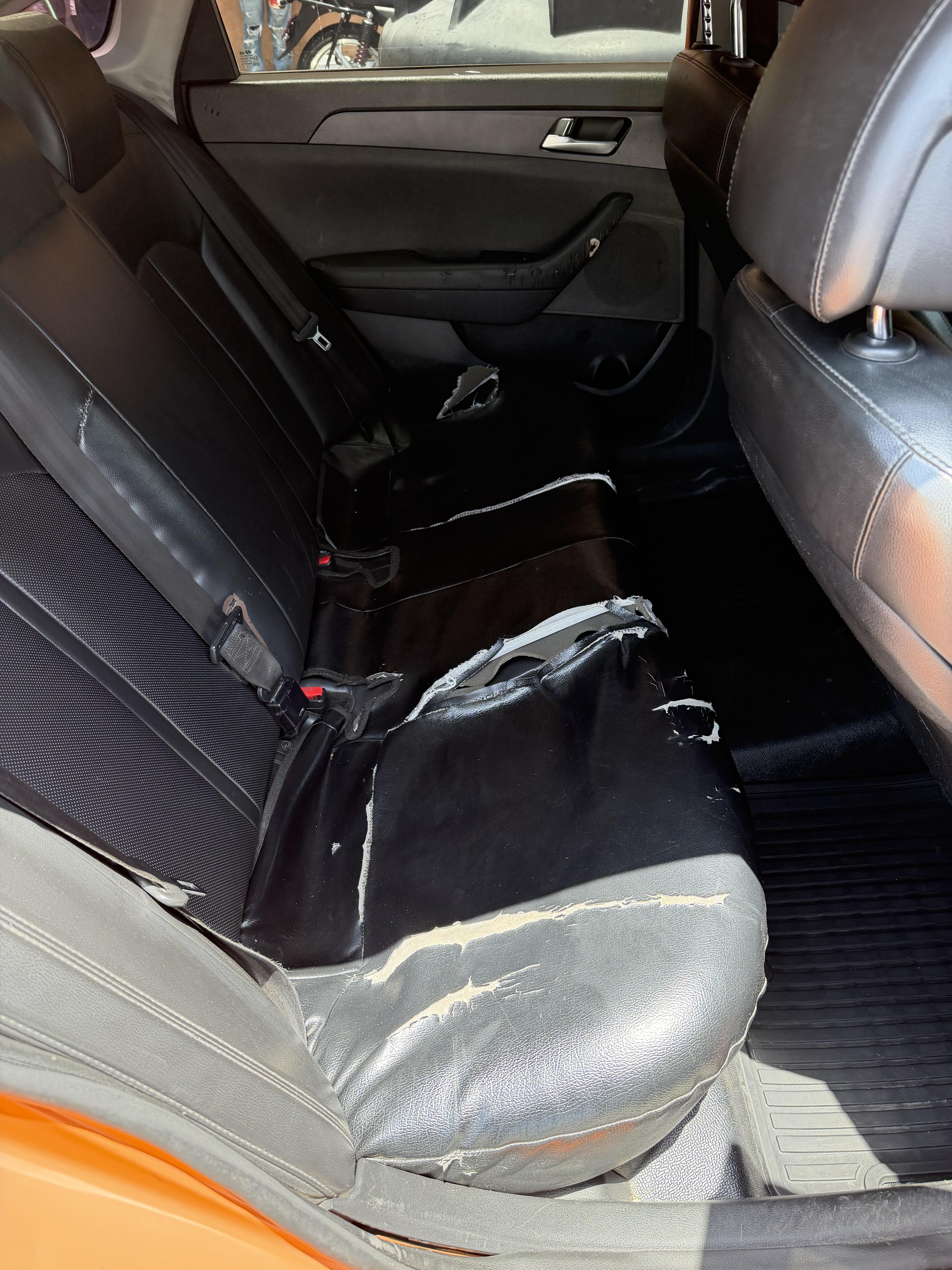 Hyundai LF 2017 Mamey Foto 7316760-6.jpg