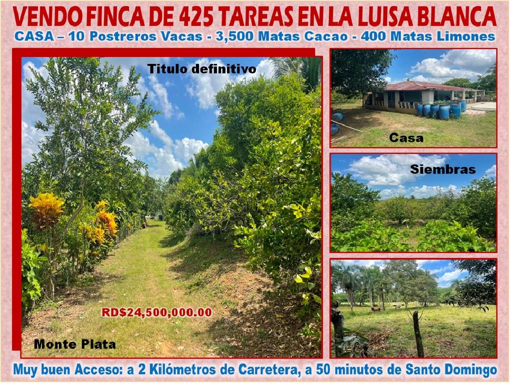 Vendo Finca de Ganadera – Agricola en LA LUISA BLANCA 425 tareas con C Foto 7316798-1.jpg