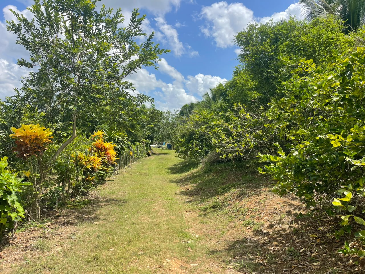 Vendo Finca de Ganadera – Agricola en LA LUISA BLANCA 425 tareas con C Foto 7316798-2.jpg