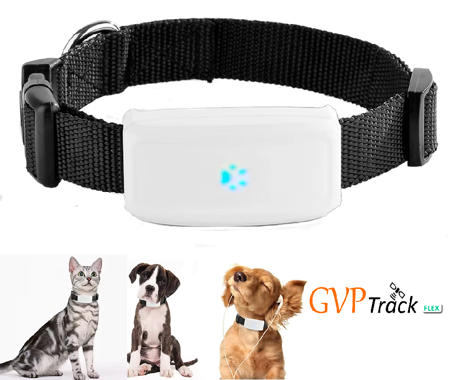 Rastreador GPS para Mascotas en Santo Domingo DN Foto 7316828-1.jpg