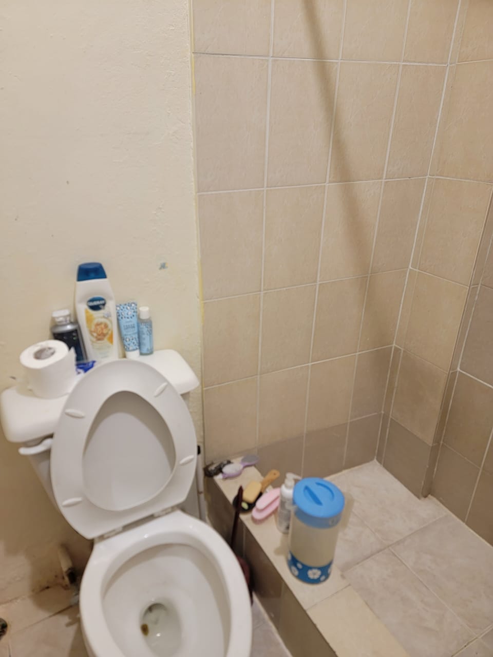 VENDO PEQUEÑO EDIFICIO DE 2 NIVELES POSEE 3 APARTAMENTOS Y UN LOCAL. S Foto 7317033-7.jpg