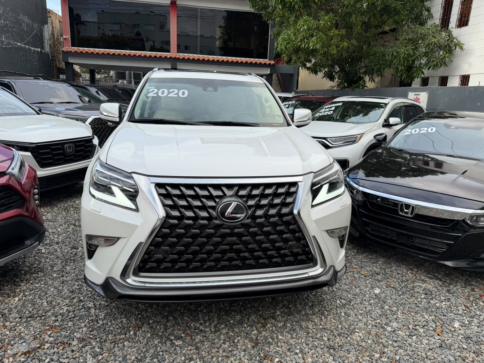 lexus gx 460 2020 Foto 7318084-2.jpg