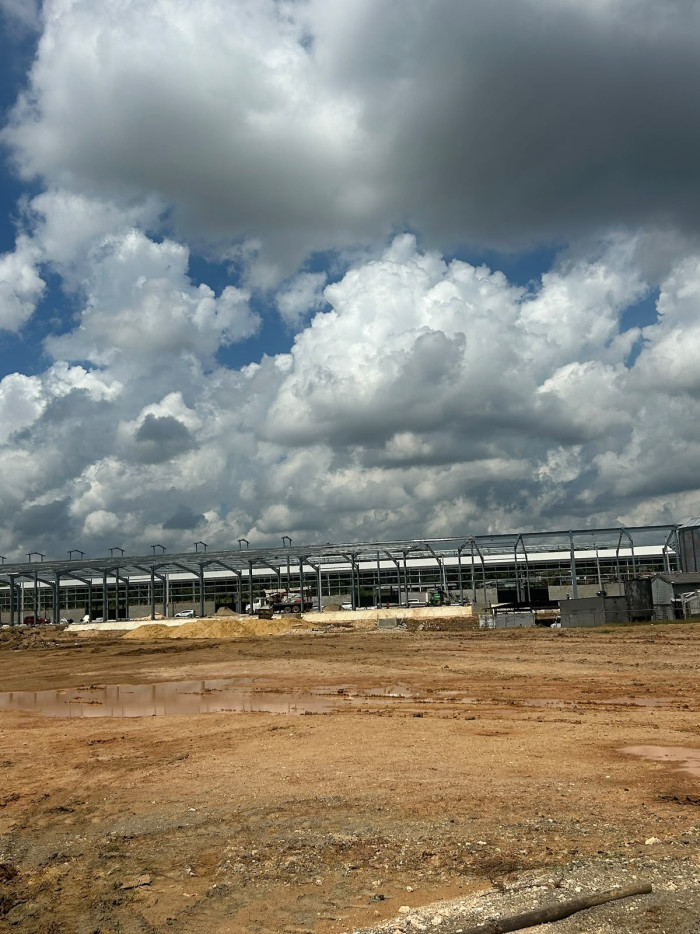 COMMERCIAL WAREHOUSES FOR RENT IN SANTO DOMINGO Foto 7318649-2.jpg