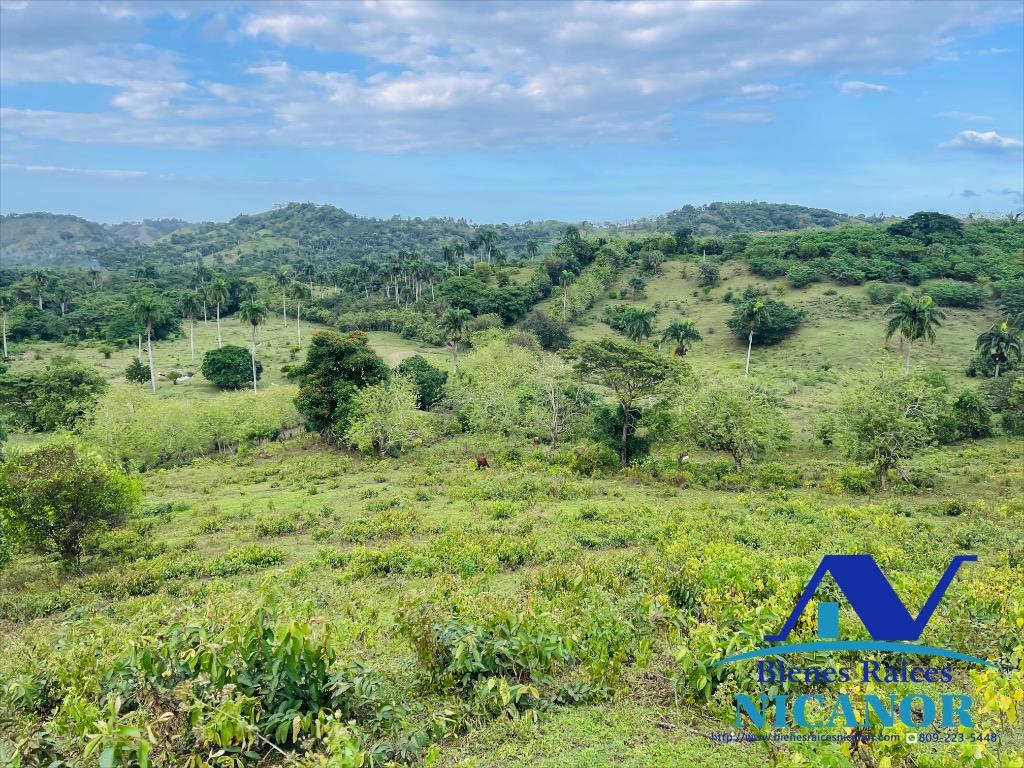 Finca ganadera en venta de 2300 tareas en adelante  Foto 7318896-1.jpg