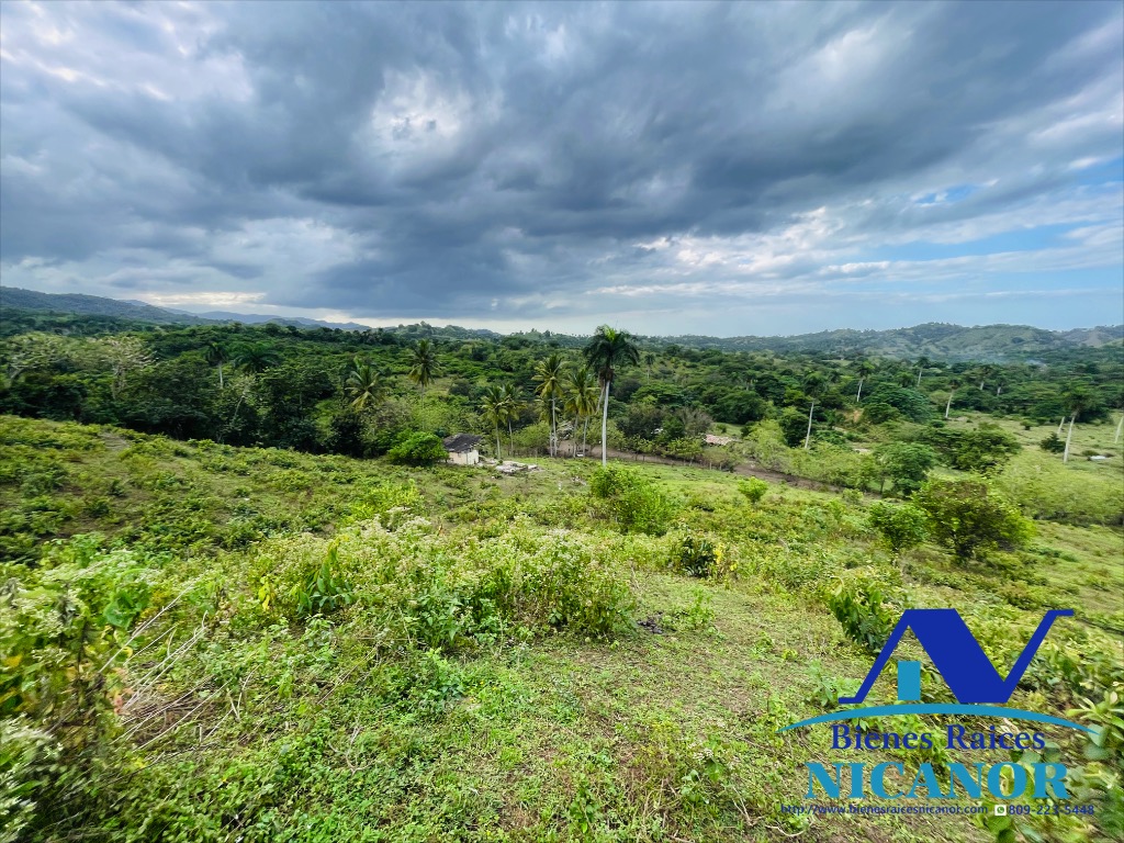 Finca ganadera en venta de 2300 tareas en adelante  Foto 7318896-6.jpg