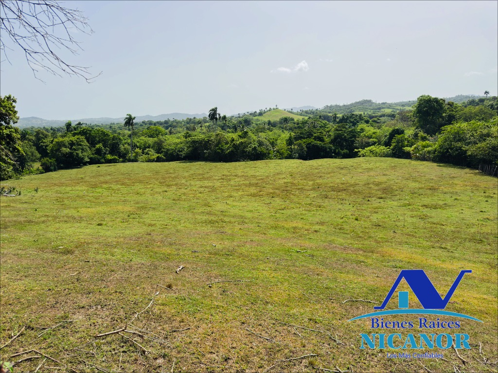 Finca ganadera de 825 tareas en venta Foto 7318897-8.jpg
