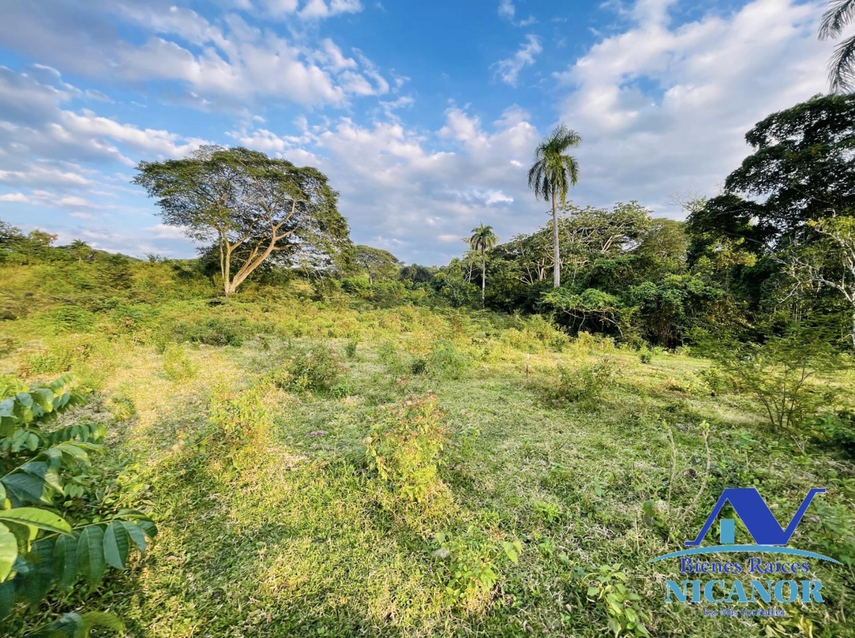Finca ganadera de 1150 tareas en venta en Guananico Foto 7318907-8.jpg