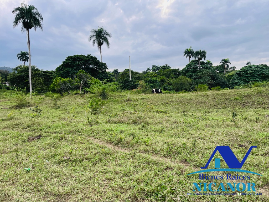 Finca de 5200 tareas en venta  Foto 7318911-5.jpg