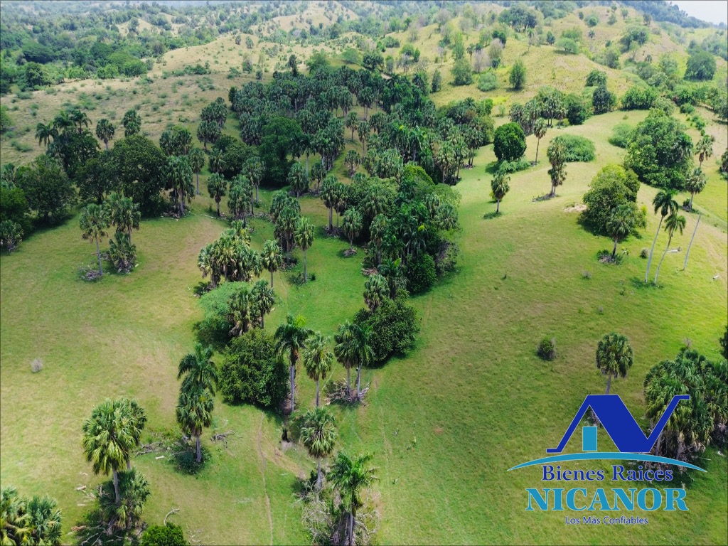 Finca de 1010 tareas en venta  Foto 7318923-10.jpg