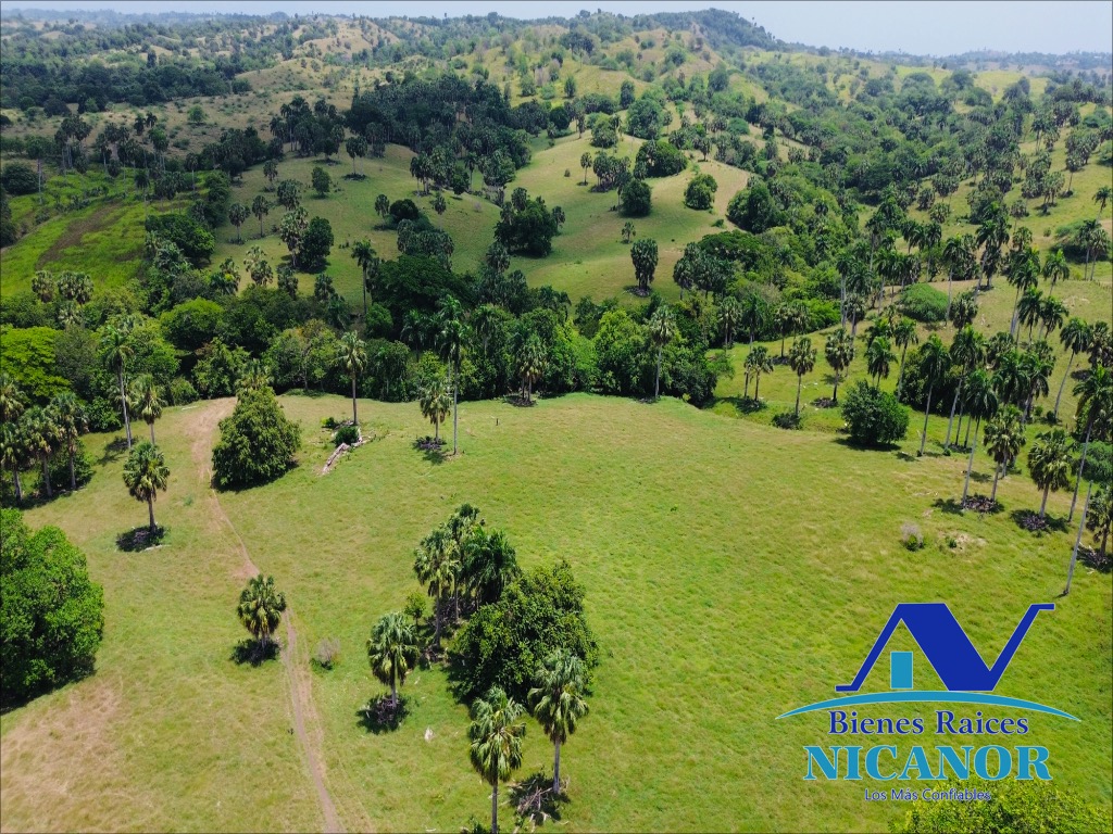 Finca de 1010 tareas en venta  Foto 7318923-2.jpg