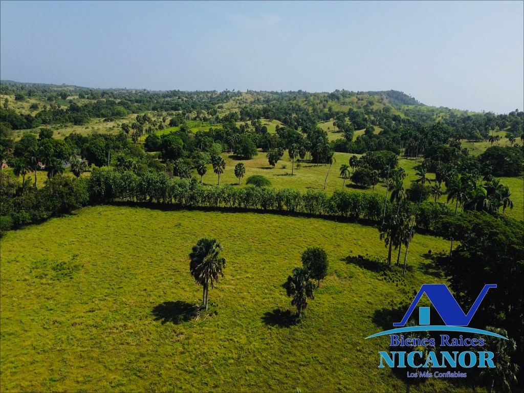 Finca de 1010 tareas en venta  Foto 7318923-7.jpg