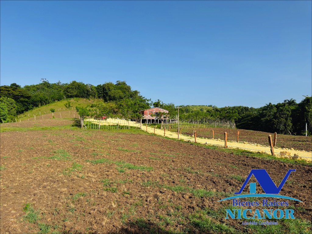 Finca de 278 tareas en venta Foto 7318926-13.jpg
